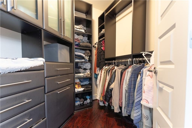 walk in closet featuring dark wood-style floors
