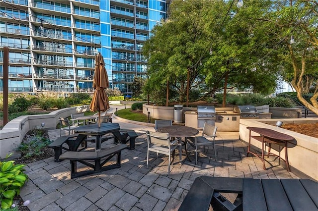 view of patio / terrace featuring area for grilling and grilling area