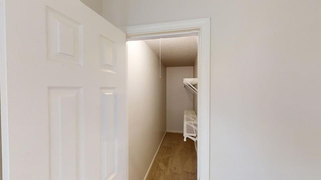 hall featuring a textured ceiling and carpet