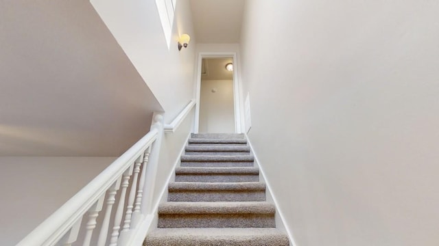 stairway featuring carpet floors