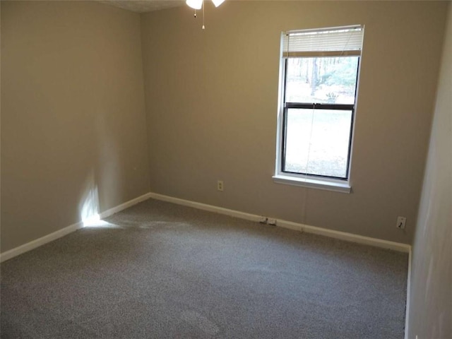 empty room with a wealth of natural light and carpet floors