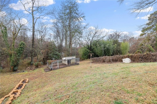 view of yard featuring a vegetable garden