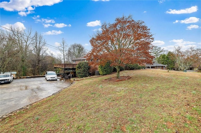 view of yard featuring driveway