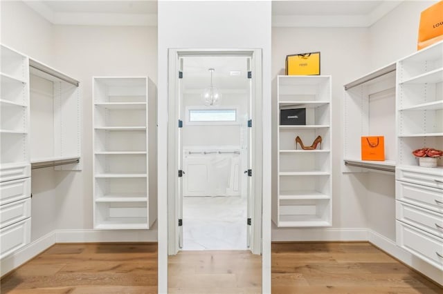 walk in closet with light wood-style flooring