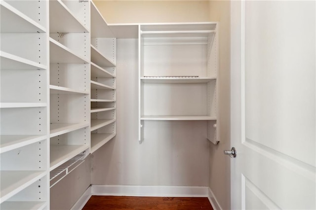 spacious closet with hardwood / wood-style flooring