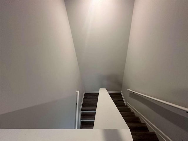 staircase featuring wood finished floors