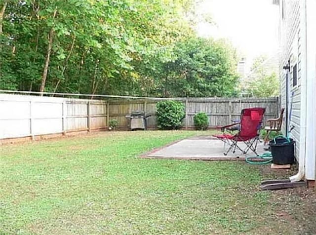 view of yard featuring a patio area