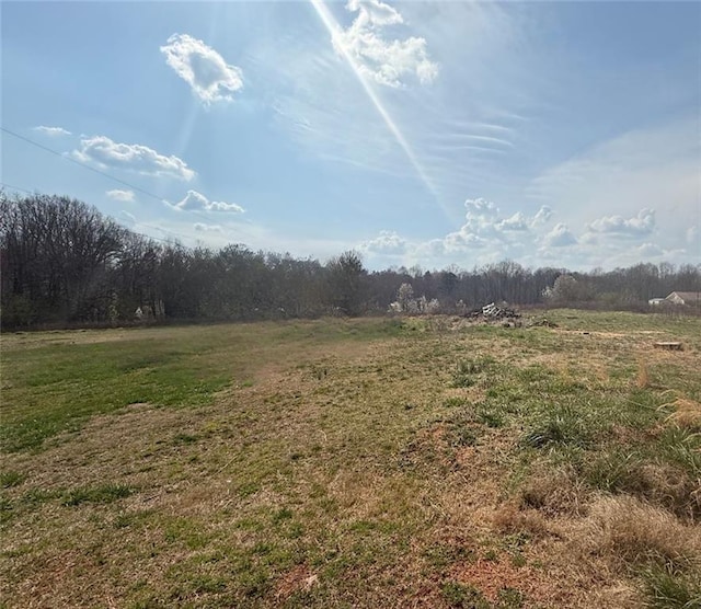 view of nature featuring a wooded view