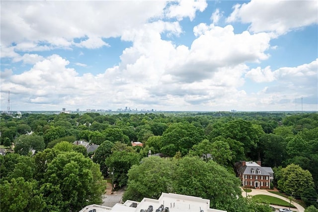 145 15th St NE Unit 1225, Atlanta, GA 30309 - bird's eye view of a forest
