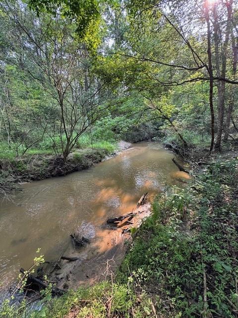 1713 Cagle Ct, Lawrenceville, GA 30045 - view of nature