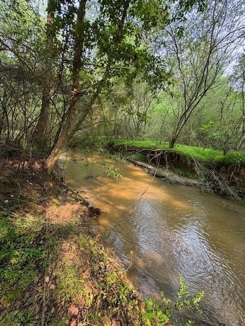1713 Cagle Ct, Lawrenceville, GA 30045 - water view