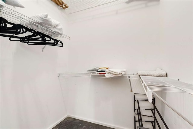 view of spacious closet