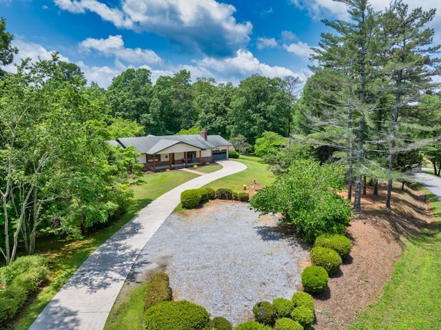 6127 Yellow Creek Rd, Murrayville, GA 30564 - view of subject property with a forest