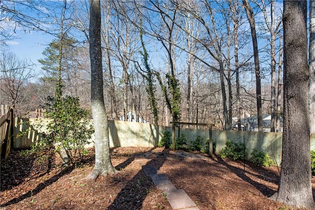 view of yard with a fenced backyard