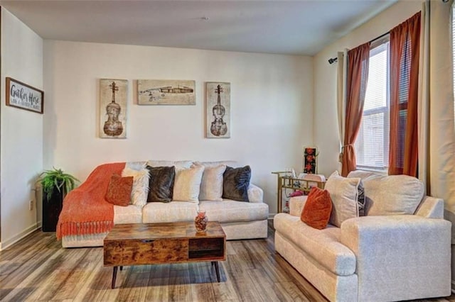 living room with wood finished floors