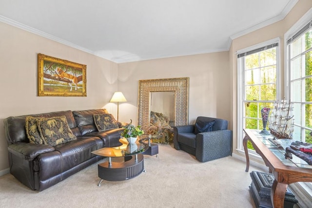 carpeted living room with crown molding