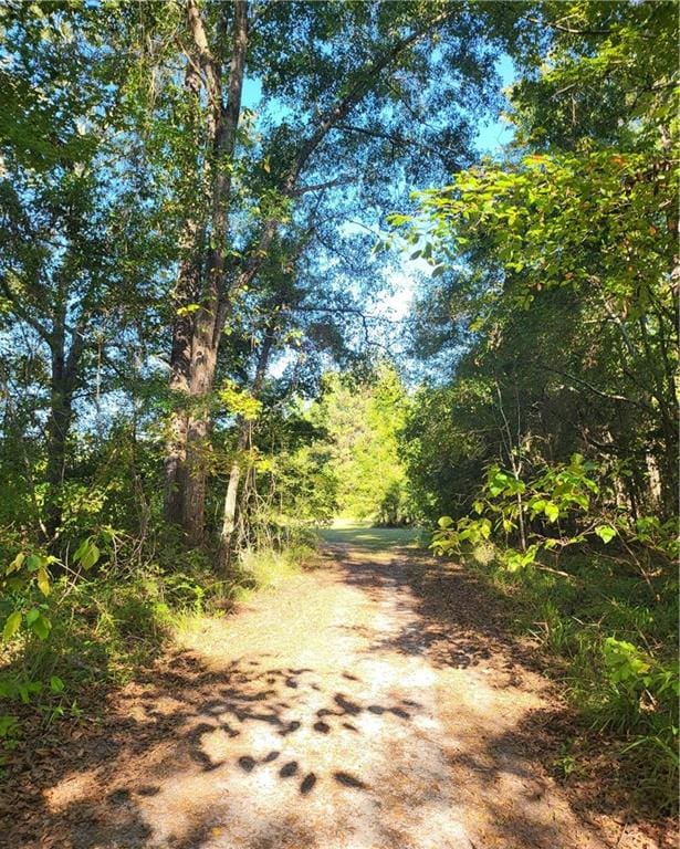 view of road