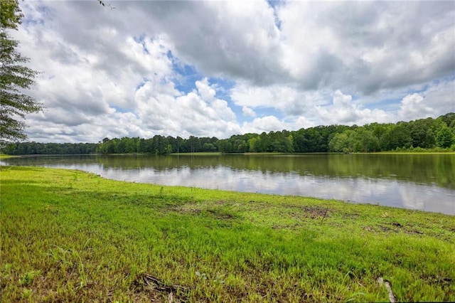 116 Woolsey Creek Trl, Fayetteville, GA 30215 - water view featuring a forest