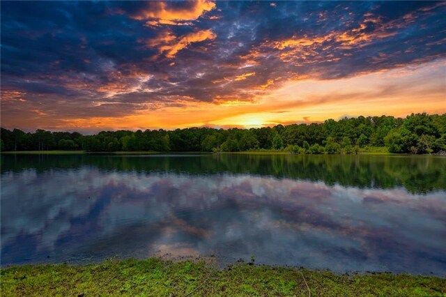 116 Woolsey Creek Trl, Fayetteville, GA 30215 - water view featuring a forest