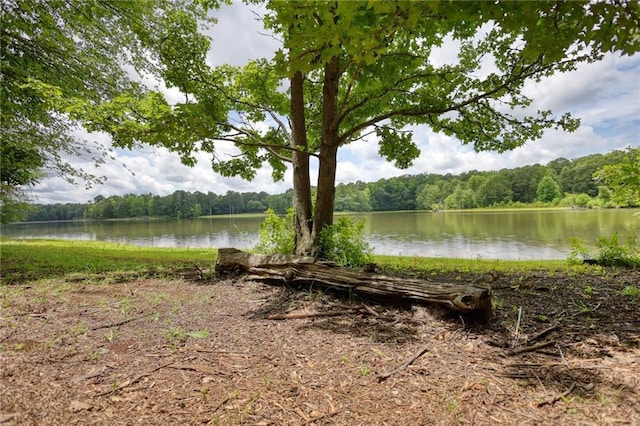 116 Woolsey Creek Trl, Fayetteville, GA 30215 - water view featuring a forest