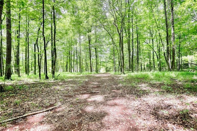 116 Woolsey Creek Trl, Fayetteville, GA 30215 - view of wooded area
