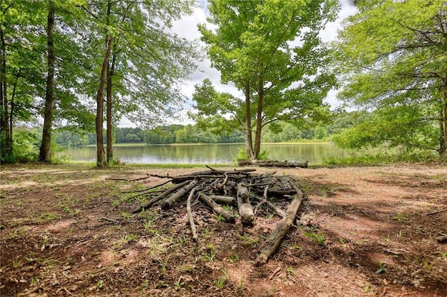 116 Woolsey Creek Trl, Fayetteville, GA 30215 - view of yard featuring a water view