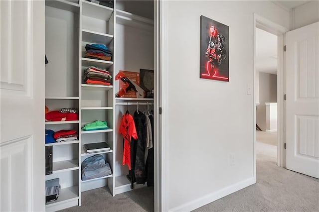 108 Wildflower Trce, Dallas, GA 30132 - view of closet