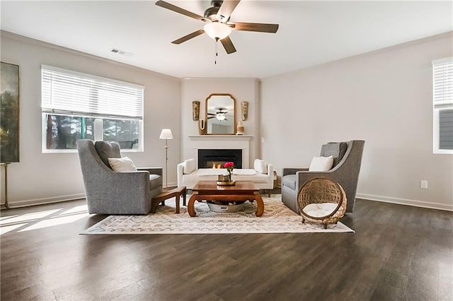 108 Wildflower Trce, Dallas, GA 30132 - living room featuring a ceiling fan, a glass covered fireplace, wood finished floors, and plenty of natural light