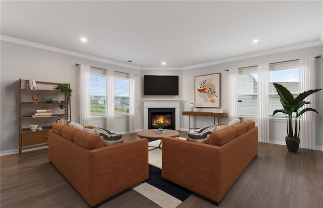 living room with a wealth of natural light, dark hardwood / wood-style floors, and crown molding