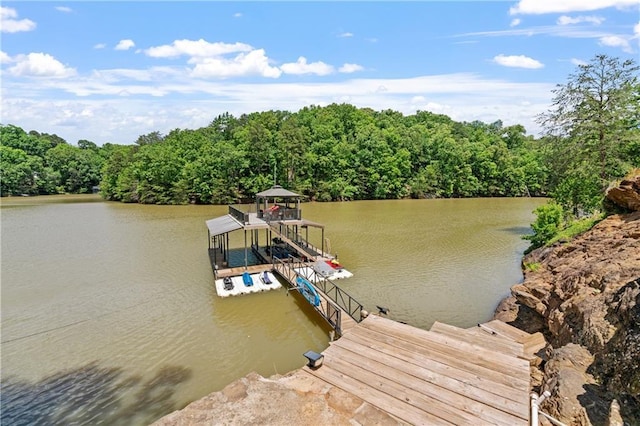 dock area with a water view