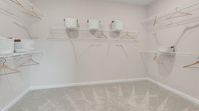 spacious closet with carpet floors