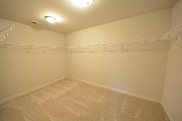 spacious closet with light carpet