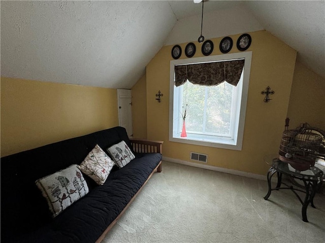 2606 Ramblewood Ct, Acworth, GA 30102 - interior space featuring vaulted ceiling and a textured ceiling