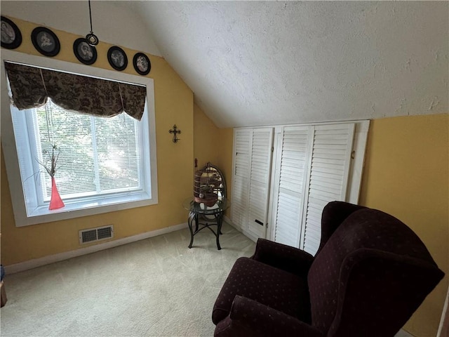 2606 Ramblewood Ct, Acworth, GA 30102 - living area with vaulted ceiling, light colored carpet, and a textured ceiling