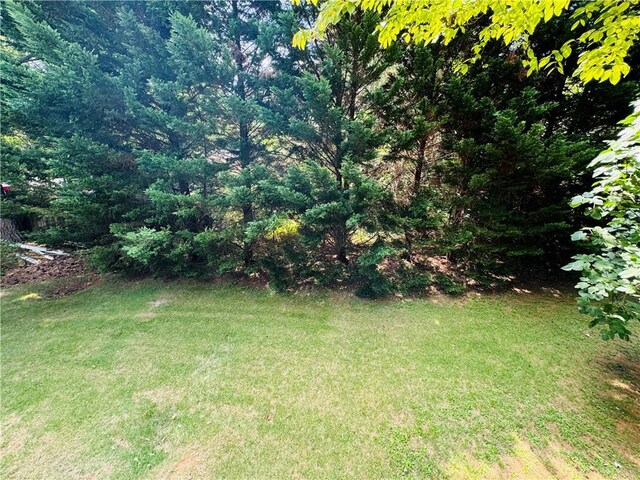 2606 Ramblewood Ct, Acworth, GA 30102 - view of yard