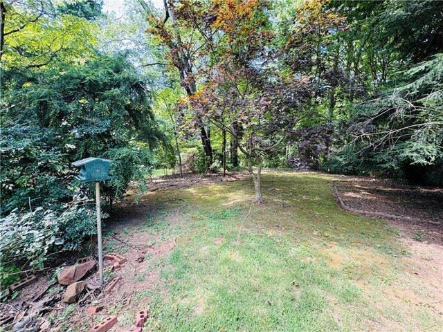 2606 Ramblewood Ct, Acworth, GA 30102 - view of yard