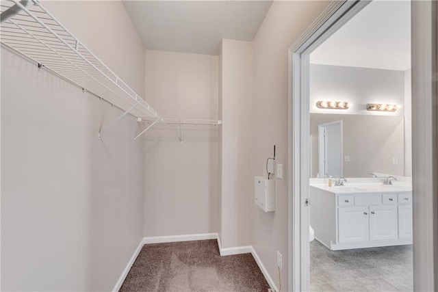 903 Duncan Ter, Canton, GA 30115 - walk in closet with light carpet and a sink