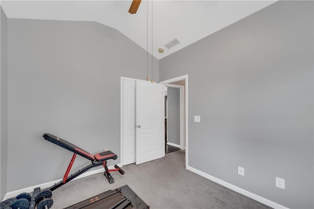 903 Duncan Ter, Canton, GA 30115 - workout room with carpet, ceiling fan, and high vaulted ceiling