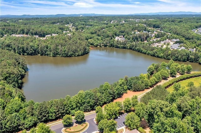 903 Duncan Ter, Canton, GA 30115 - bird's eye view of a forest and a nearby body of water