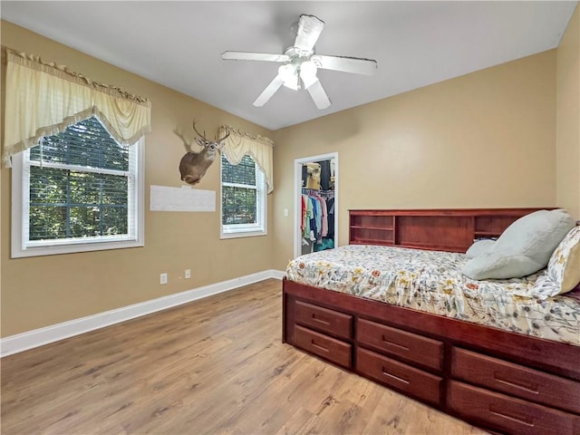 bedroom featuring multiple windows, a spacious closet, a closet, and light wood-type flooring