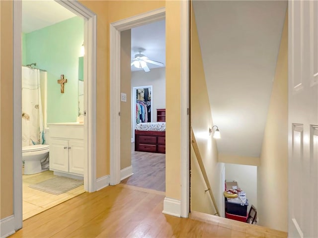 hallway with hardwood / wood-style floors