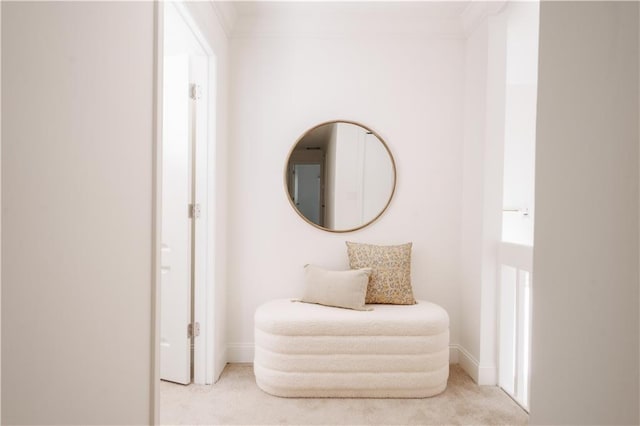 sitting room featuring light carpet