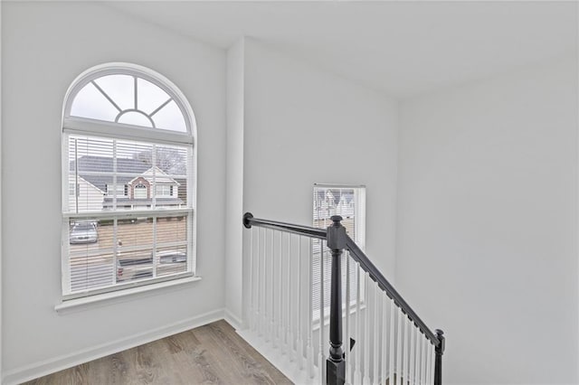 staircase with hardwood / wood-style flooring