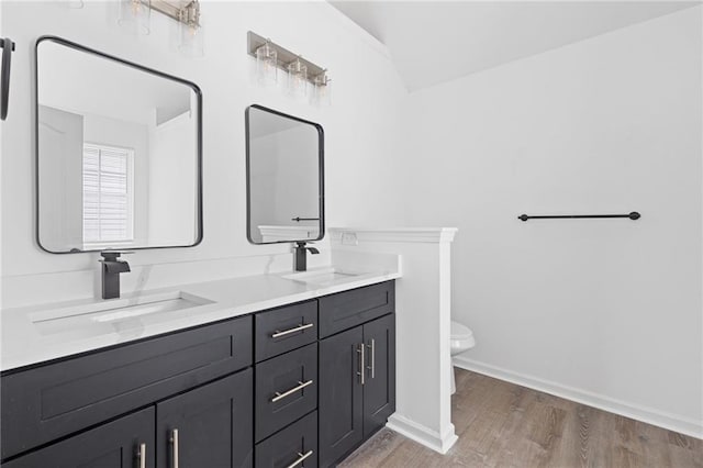 bathroom featuring vanity, toilet, and hardwood / wood-style floors