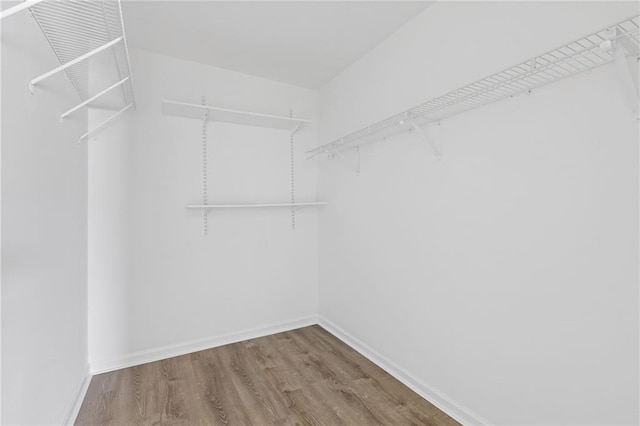 walk in closet with hardwood / wood-style floors