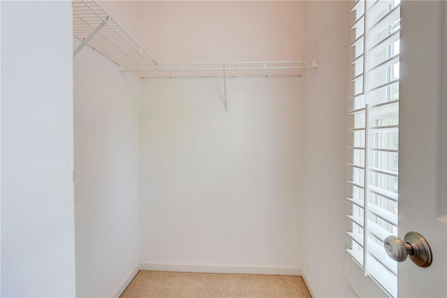 1160 Newpark View Pl Unit 8, Mableton, GA 30126 - walk in closet featuring light colored carpet