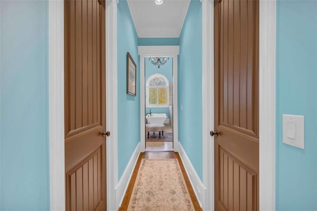 corridor featuring crown molding and hardwood / wood-style flooring