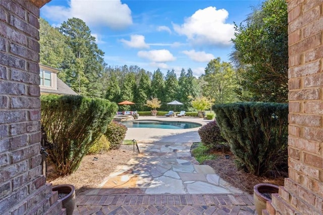 view of pool featuring a patio