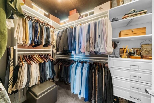 2881 Peachtree Rd NE Unit 1102, Atlanta, GA 30305 - spacious closet featuring carpet flooring