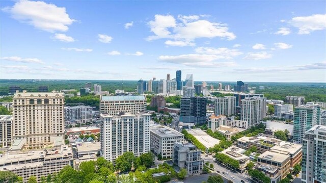 2881 Peachtree Rd NE Unit 1102, Atlanta, GA 30305 - view of city